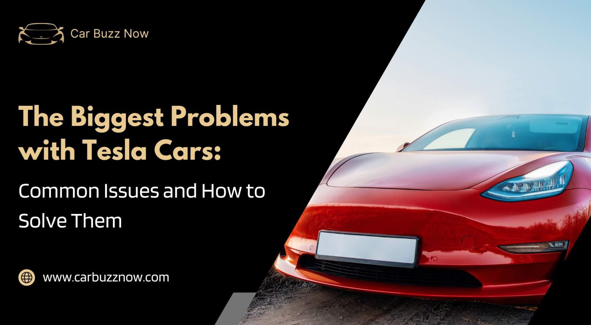 The Biggest Problems with Tesla Cars